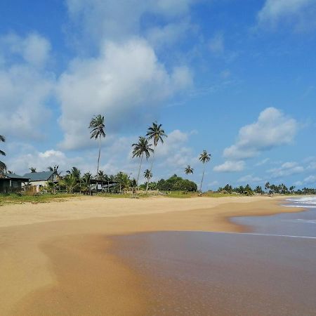 Afro Beach Eco Resort Butre Extérieur photo