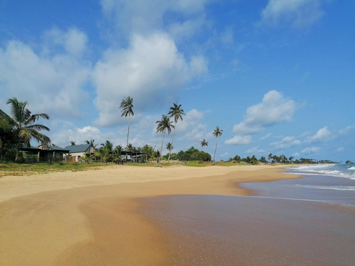 Afro Beach Eco Resort Butre Extérieur photo