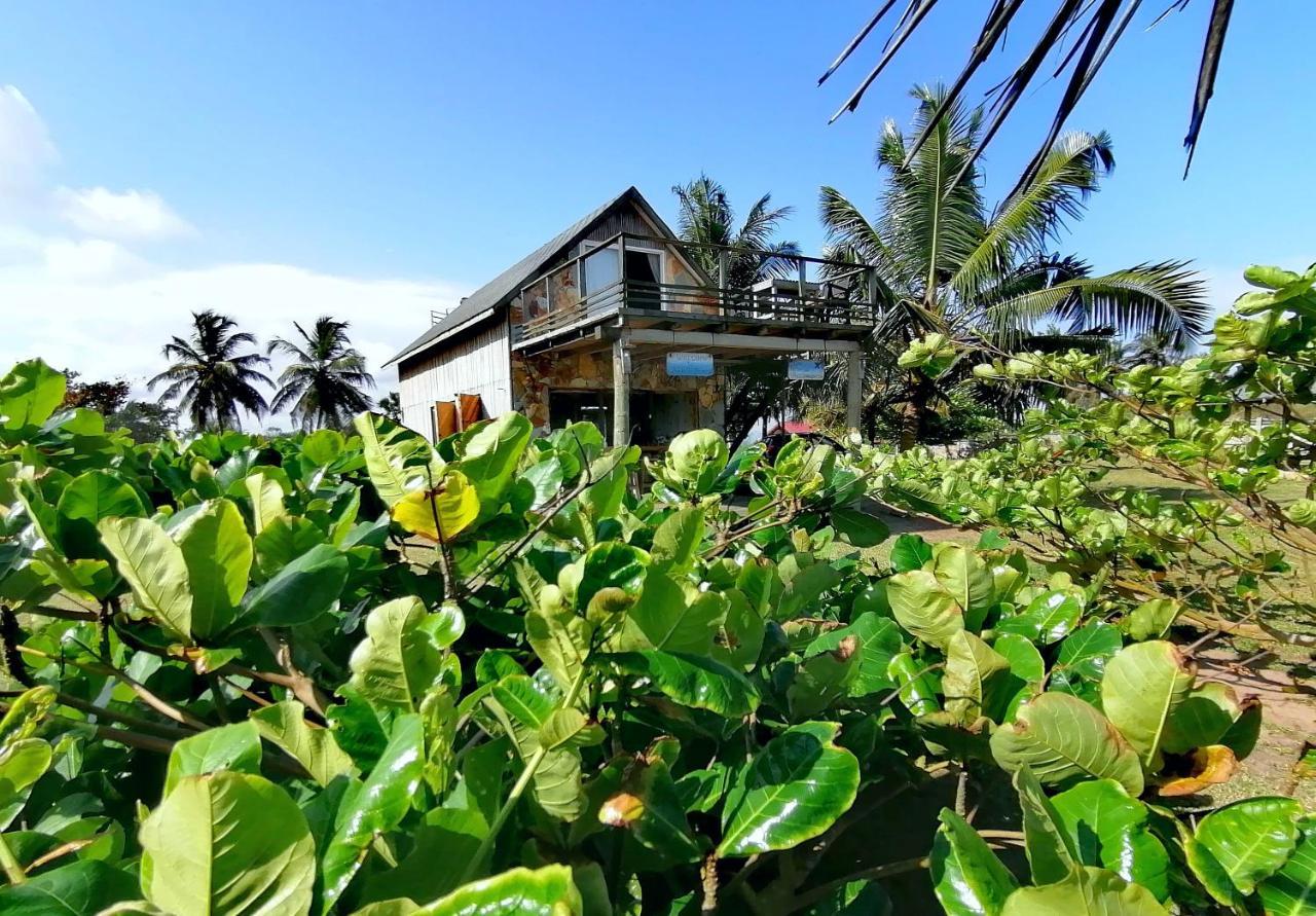 Afro Beach Eco Resort Butre Extérieur photo