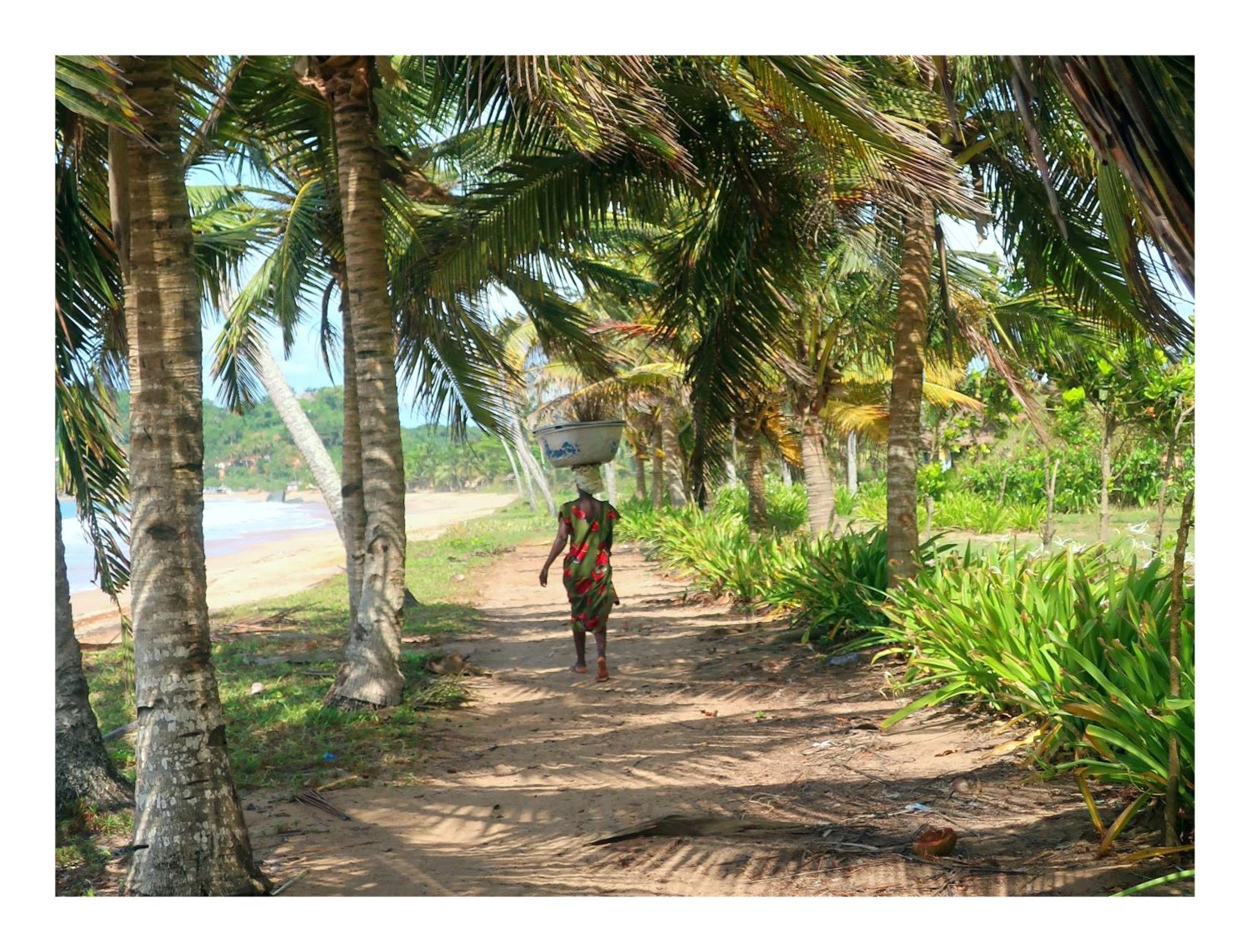 Afro Beach Eco Resort Butre Extérieur photo