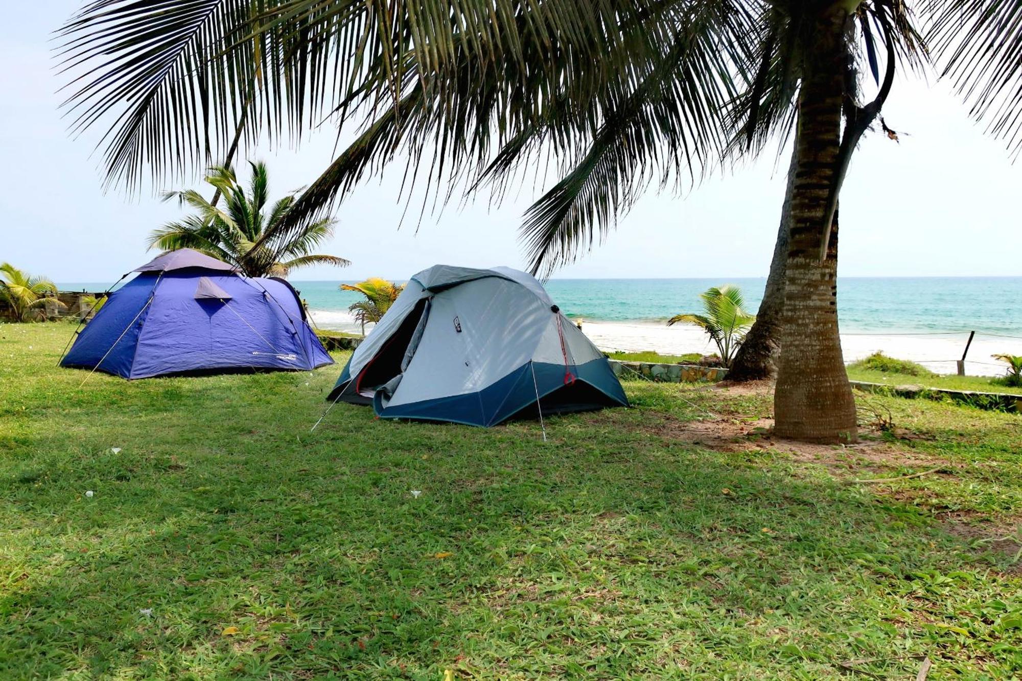 Afro Beach Eco Resort Butre Extérieur photo