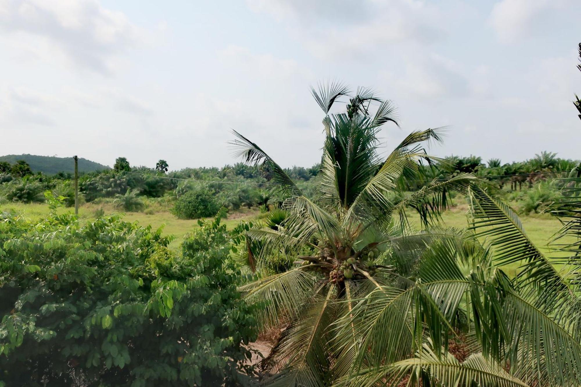 Afro Beach Eco Resort Butre Chambre photo